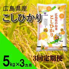 【ふるさと納税】【毎月定期便】広島県産コシヒカリ5kg全3回【4075393】