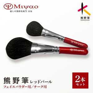 �y�ӂ邳�Ɣ[�Łz�F�쉻�ϕM ���b�h�p�[��2�{�Z�b�gBR-95�y���C�N�u���V ���ϕM �t�F�C�X�u���V �`�[�N�u���V �F��M �`���H�| �E�l�Z �����M �Z�b�g �M�t�g ���蕨�z