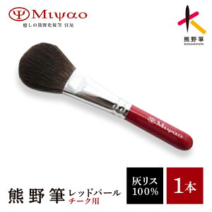 �y�ӂ邳�Ɣ[�Łz�F�쉻�ϕM�`�[�N�u���VMR-8�y���C�N�u���V ���ϕM �`�[�N�u���V �D���X ���� ���C�N �R�X�� ���e ���̊� ������ �c���� �F��M �`���H�| �E�l�Z �����M�z