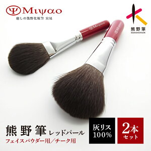 �y�ӂ邳�Ɣ[�Łz�F�쉻�ϕM�u���V2�{�Z�b�g(�p�E�_�[�E�`�[�N)�y���C�N�u���V ���ϕM �p�E�_�[�u���V �`�[�N�u���V �D���X �e���� �F��M �����M�z