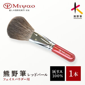 �y�ӂ邳�Ɣ[�Łz�F�쉻�ϕM�t�F�C�X�p�E�_�[�u���V�y���C�N�u���V �F��M�z