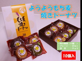 【ふるさと納税】ようようもち麦焼きドーナツ（10個）