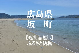 【ふるさと納税】広島県坂町への寄附（返礼品はありません。）