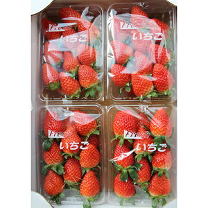 �y�ӂ邳�Ɣ[�Łz2�������y�G�ߌ���z�V�N���̂�!���|���c���Y�������u�������v (280g×4�p�b�N)�y�z���s�n��F�����E�k�C���E���ꌧ�z�y1029483�z