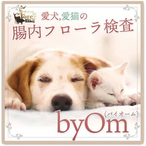 yӂ邳Ɣ[Łz/L̒t[́ubyOm(oCI[)vy1301545z