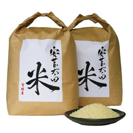 【ふるさと納税】【令和7年産】ヒノヒカリ　白米5kg×2袋　計10kg【1441155】