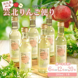 【ふるさと納税】りんごソーダ 芸北りんご便り 炭酸ジュース