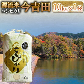 【ふるさと納税】精米 コシヒカリ 10kg 「源流米 今吉田」 2025年産 米どころ北広島町のおいしいお米