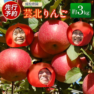 yӂ邳Ɣ[Łz Y 3kg _ƒ ꠌ_ |k ь gL ӂ H Vimh`F VimXC[g ܖ VimS[h ӂ