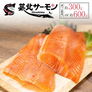 �y�ӂ邳�Ɣ[�Łz�T�[���� �|�k�T�[���� �t�B�� �I�ׂ鐔�� �R�炿 �h�g ���H ���Y ��� �����