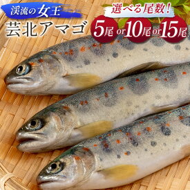 【ふるさと納税】「渓流の女王」芸北アマゴ