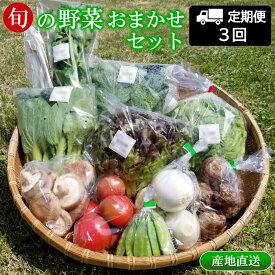 【ふるさと納税】『定期便』全3回 野菜 おまかせセット 毎月届く定期便 旬 道の駅直送 季節野菜 豊平どんぐり村 さんさん市