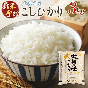 yӂ邳Ɣ[ŁzVė\t!! ht@[ 咩̕ĂЂ 3kg 2025NY ĂǂkL̂ 10{