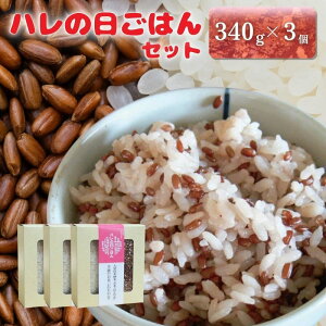 �y�ӂ邳�Ɣ[�Łz�咩���g���ăv���W�F�N�g �n���̓����͂�Z�b�g