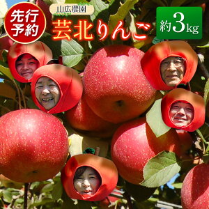yӂ邳Ɣ[Łz Y 3kg _ƒ RL_ |k ь Hf VimXC[g z ܖ  VimS[h ӂ