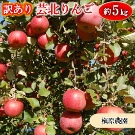 【ふるさと納税】≪10月中旬以降発送≫ りんご 訳あり ご家庭用 約5kg 槇原農園の芸北りんご 農家直送 シナノスイート ぐんま名月 シナノゴールド ふじ