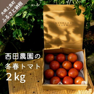 �y�ӂ邳�Ɣ[�Łz���㓇�Y ���c�_���̓~�t �g�}�g ��2kg�i10�`15���x�j�Ƃ܂� ��� ���˓� �L�� ���㓇 ���Y 9000�~