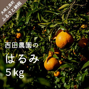 �y�ӂ邳�Ɣ[�Łz���˓� �͂�� ��5kg (30���x)�y2026�N2���ȍ~�����z���k �t���[�c �ʕ� ���˓� �L�� ���㓇 ���Y 15000�~