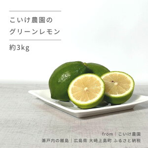 yӂ邳Ɣ[ŁzO[ 3kg 9-11\ _ L 㓇 ˓  ʕ t[c k  EG u₩ Mtg  Yn