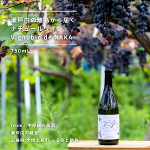 yӂ邳Ɣ[Łz[] ˓̃i`[C 750mLyVignoble de NAKA 2023 rouge MBAz Y Ƃ L 㓇  Y ۑsgp ԃC L@͔| L@Ԃǂ I[KjbN 