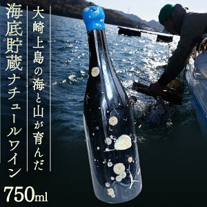 �y�ӂ邳�Ɣ[�Łz�C�꒙�� ���C�� �u�C�꒙�� �G�k by Vignoble de NAKA rouge MBA�v�y2026�N6���ȍ~�����z���� �� �Ԃǂ� ���� ���˓� �n�� �r���e�[�W���C�� �i�`���������C��