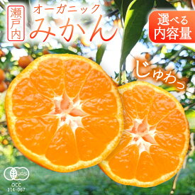 【ふるさと納税】 甘酸っぱい！ オーガニック 瀬戸内みかん お試し1kg / 3kg / 5kg / 10kgから選べる 【2026年10月中旬～1月発送】 少量 国産 有機JAS認証 小玉 小玉みかん 瀬戸内 広島 有機栽培 柑橘 果物 フルーツ ギフト 無添加 送料無料 産地直送 中原観光農園