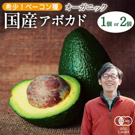 【ふるさと納税】国産 オーガニック アボカド ( ベーコン種 )【2026年11月下旬以降発送】 有機JAS認証 有機栽培 アボガド 瀬戸内 有機 濃厚 希少 広島 大崎上島