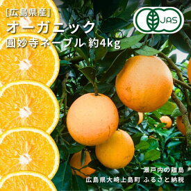 【ふるさと納税】1~2月発送予定 中原観光農園 オーガニック圓妙寺ネーブル 約4kg 広島県 大崎上島町 瀬戸内 離島 国産 有機JAS認証 有機栽培 柑橘 ネーブル 果物 フルーツ ギフト 送料無料 産地直送