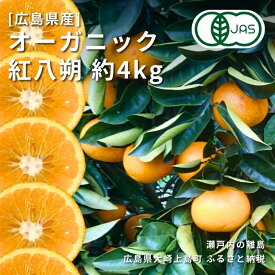 【ふるさと納税】1~2月発送予定 中原観光農園 オーガニック紅八朔 約4kg 広島県 大崎上島町 瀬戸内 離島 国産 有機JAS認証 有機栽培 柑橘 八朔 ハッサク はっさく 果物 フルーツ ギフト 送料無料 産地直送