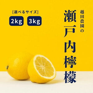 yӂ邳Ɣ[Łzs\ ˓ 2kg 3kg 2025N12甭Jn  bNXhܕsgp IׂTCY Iׂ锭 L 㓇 ˓  Y 炲 ۂ I