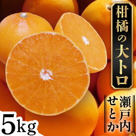 【ふるさと納税】せとか 5kg 柑橘 フルーツ 果物 くだもの みかん 国産 瀬戸内 ハウス 贈答用 ギフト 産地直送