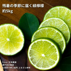 �y�ӂ邳�Ɣ[�Łz�n�E�X�O���[�������� ��5kg �y2026�N9���ȍ~�����z ������ �E�G ����� �O���[�� ���˓� �L�� ���㓇 ���k �t���[�c �ʕ� �������� ���Y