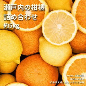 yӂ邳Ɣ[Łz[2~3] c_̊klߍ킹 5kg 7~8 ˓ L 㓇  k  EG Ƃ  ͂ k ubhIW ʕ t[c p Mtg 