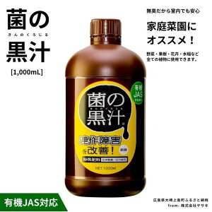 yӂ邳Ɣ[ŁzTL ۂ̍` 1000mL 1{ | 엿 ƒ؉ x_؉ 엿 L L@͔| L@JAS aQ\h Ny ˓ L 㓇  
