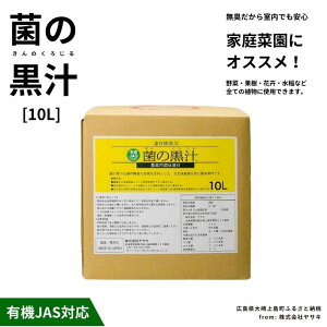 yӂ邳Ɣ[ŁzTL ۂ̍` 10L 1 | 엿 ƒ؉ x_؉ 엿 L L@͔| L@JAS aQ\h Ny ˓ L 㓇  