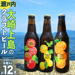 yӂ邳Ɣ[Łzy12/21mF܂ŔN͂z㓇  Ntgr[ 3 Iׂ 3{ 6{ 12{ Session IPA Lemon Saison Tomato ݂y[G[  g}g ݂ t[o[ zbv