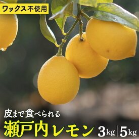 【ふるさと納税】瀬戸内レモン 先行予約 皮まで丸ごと食べられる ワックス 防腐剤不使用 もぎたてフレッシュ！ 岩崎農園 産地直送 選べるサイズ 約3kg / 5kg 国産 広島 瀬戸内 大崎上島町産 【 2026年 12月 中旬 ～ 2月 発送】