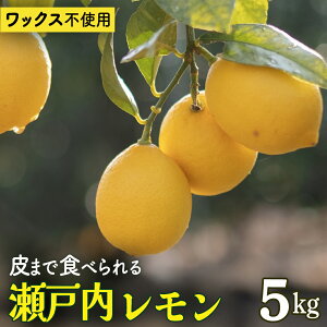 yӂ邳Ɣ[ŁzƂ 3kg/5kg 12`2 ˓ Y  ˓ EG k h bNX sgp ܂ŊۂƐHׂ L 㓇  Yn 