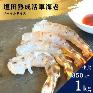 yӂ邳Ɣ[ŁzH cn ԊCV m[}TCY IׂTCY 350g/550g/1kg 11~2 Mtg  ϔ Y CV  L 㓇 ˓  VN  Yn t@[