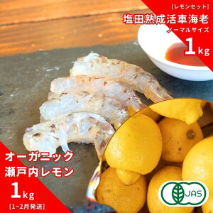 yӂ邳Ɣ[ŁzI[KjbN˓ 1kg(1~2) / cnԊCV m[}TCY 1kg(11~2) I[KjbN L@ L@JAS ʏ`100%   Gr GrtC ӎ Y 