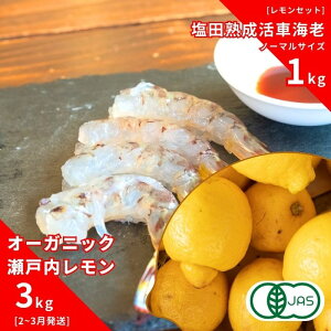 yӂ邳Ɣ[ŁzI[KjbN˓ 3kg(2~3) / cnԊCV m[}TCY 1kg(11~2) I[KjbN L@ L@JAS ʏ`100%   Gr GrtC ӎ Y 