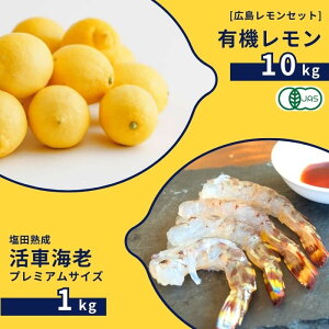 yӂ邳Ɣ[ŁzLL@ 10kg(12~1) / cnԊCV v~ATCY 1kg(11~2) I[KjbN L@͔| L@JAS   Gr GrtC ӎ Y ˓ Z Â