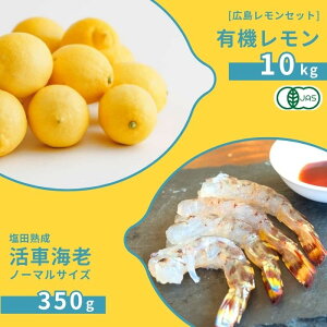 yӂ邳Ɣ[ŁzLL@ 10kg(12~1) / cnԊCV m[}TCY 350g(11~2) I[KjbN L@͔| L@JAS   Gr GrtC ӎ Y ˓ Z Â