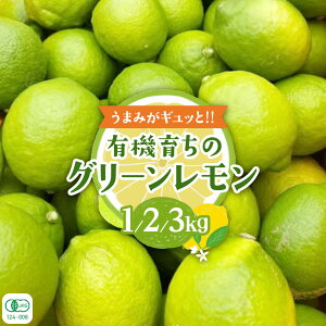 yӂ邳Ɣ[Łzy2026N10Jnz 㓇Y L@O[ y Iׂe z   EG L O[ I[KjbN JASF L@ k t[c ʕ