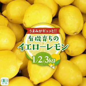 yӂ邳Ɣ[Łz㓇Y@L@ y Iׂe z   EG L I[KjbN JASF L@ k t[c ʕ