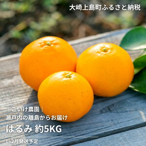 yӂ邳Ɣ[Łz1~2\ _ ͂ 5kg L 㓇 ˓  Z ʕ t[c k ݂  Yn