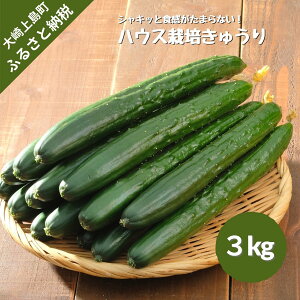 yӂ邳Ɣ[Łzイ 3kg 9~10\ zc_ ˓  Y   Mtg Yn L 㓇