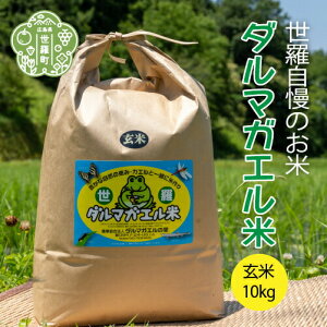 yӂ邳Ɣ[Łzyߘa7NYz _}KG  10kg(5kg×2) ͂   Y  ܂ A055-07