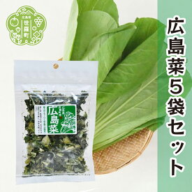 【ふるさと納税】乾燥広島菜 20g×5袋セット 乾燥野菜 非常食 備蓄 ダイエット 食物繊維 マクロビ キャンプ アウトドア 世羅 A047-15