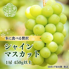 【ふるさと納税】シャインマスカット1房(450g以上)【先行予約・数量限定】 ぶどう ブドウ 葡萄 シャイン マスカット フルーツ 果物 くだもの 産地直送 世羅【2025年10月下旬以降順次発送-12月初旬まで発送可能】A062-05